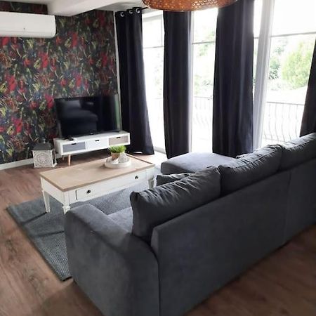 Superbe Appartement Climatise Au Centre Ville 777 Brazey-en-Plaine Exterior foto
