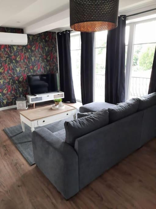 Superbe Appartement Climatise Au Centre Ville 777 Brazey-en-Plaine Exterior foto